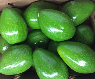 Regular Avocado 1kg(±50gm) – Picolight